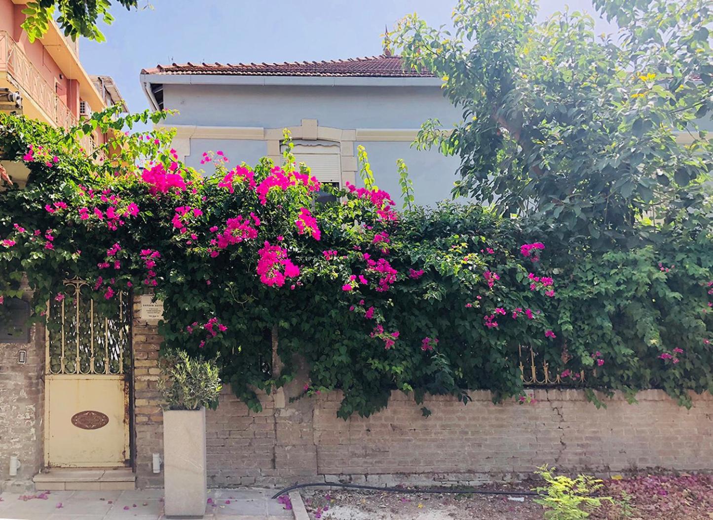 Garden Suites Corfu  المظهر الخارجي الصورة
